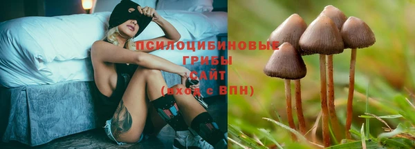 MDMA Premium VHQ Верхнеуральск